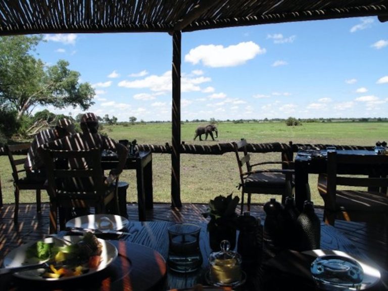 What It’s Like To Stay At 3 Luxury Safari Lodges in Botswana
