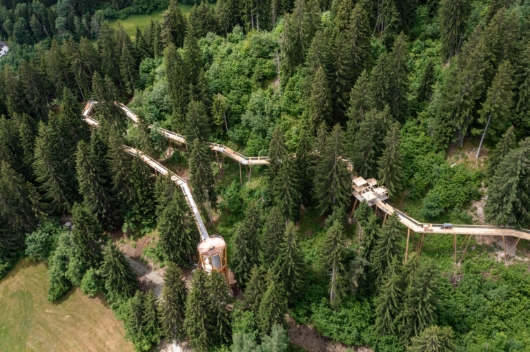 Senda Dil Dragun In Switzerland Is The World’s Largest Treetop Walk — Take A Look