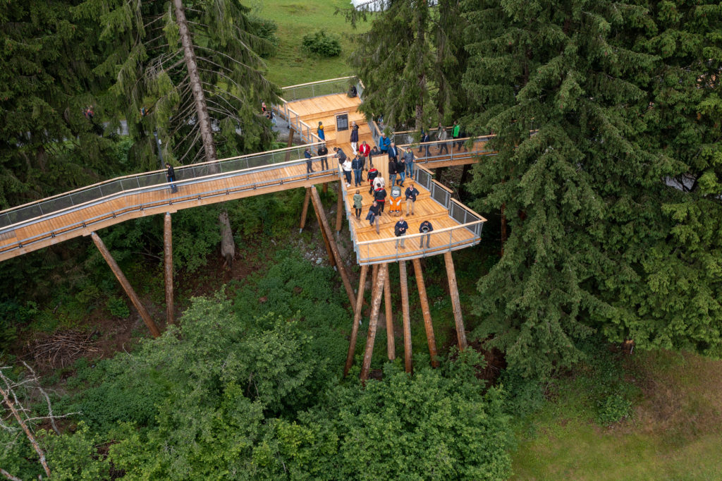 Treetop walk Switzerland platform