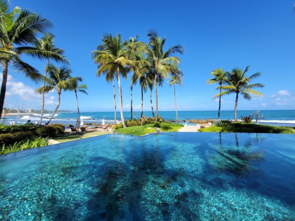 Beautiful pool and palm trees overlooking the ocean