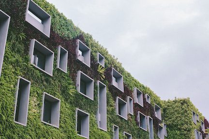 Hotel with a green exterior wall depicting what sustainable accommodations may look like in the future.