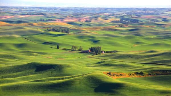 Palouse Hills