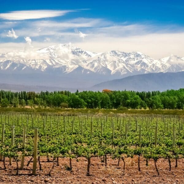 Argentina Wine region