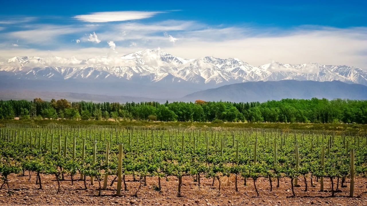 Argentina’s Mendoza Wine Region: A Retiree Haven for $2K/Month