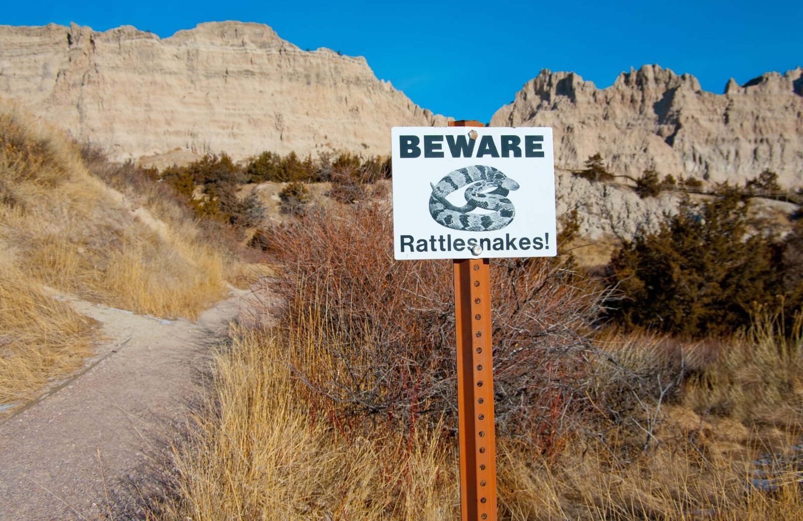 Hiking the West: How to Spot Rattlesnakes Before They Spot You