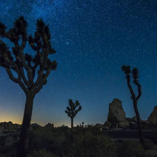 Why December is Prime Time for Stargazing in the Mojave/Texas